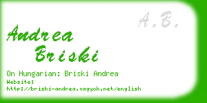 andrea briski business card